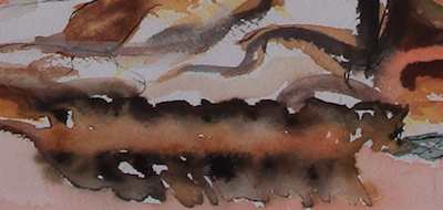 Deer Skull watercolor detail 2