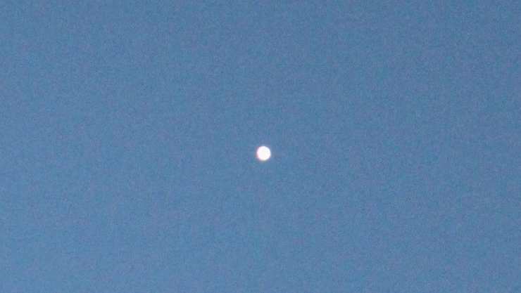 Venus in Early Evening Sky photograph